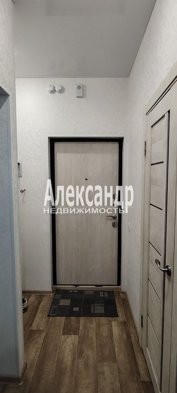 Студия (27м2) в аренду — фото 3 из 10
