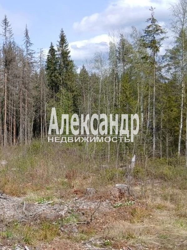 Участок