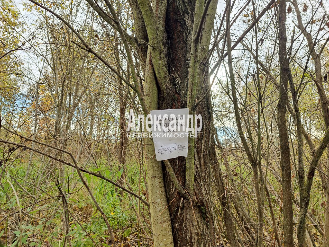 Участок