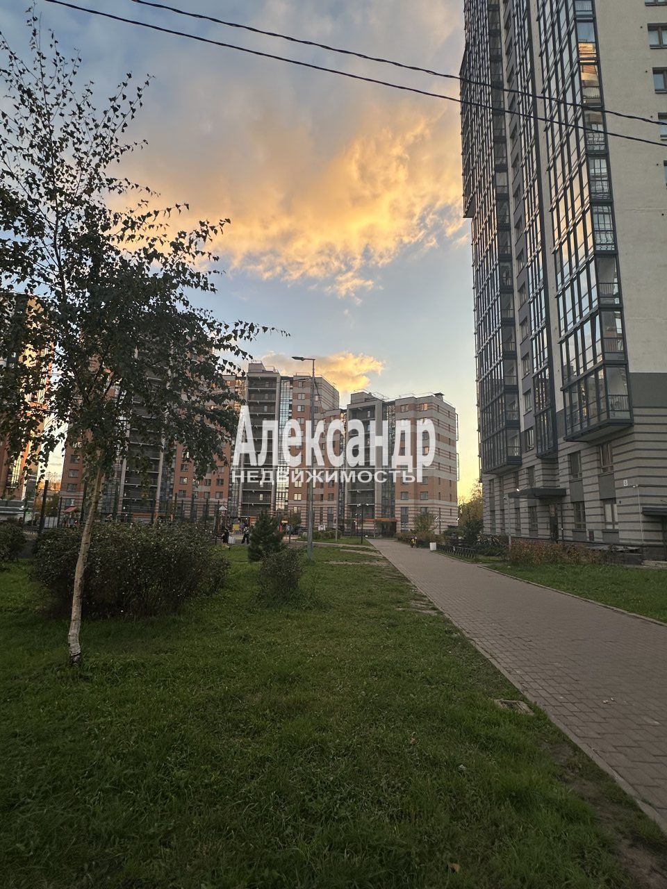 1-комнатная квартира (35м2) на продажу по адресу Санкт-Петербург, Богословская улица, 4к4— фото 21 из 22