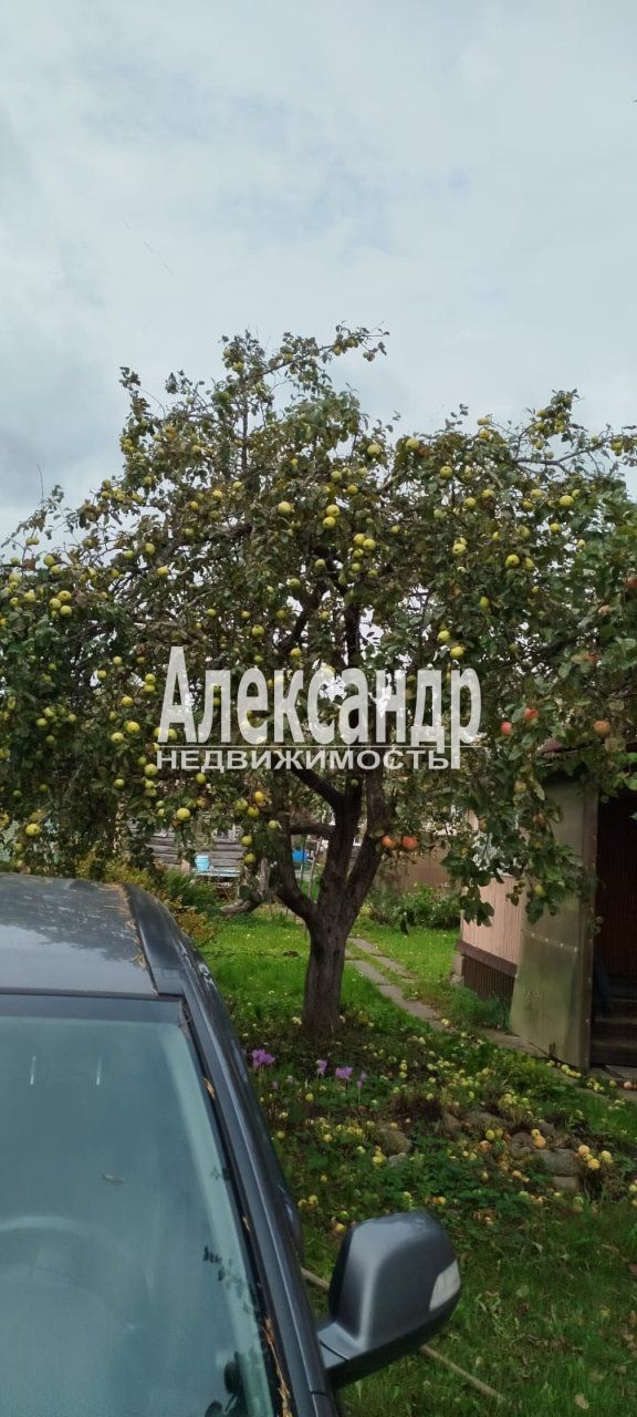 Жилой дом (51м2) на продажу — фото 51 из 63