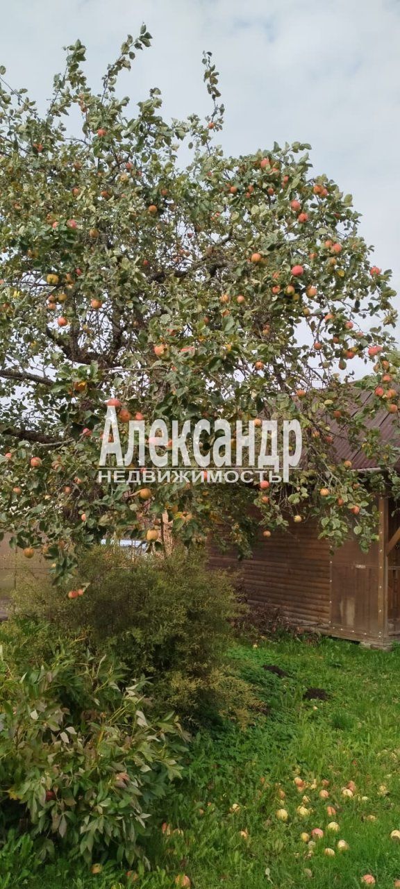 Жилой дом (51м2) на продажу — фото 53 из 63