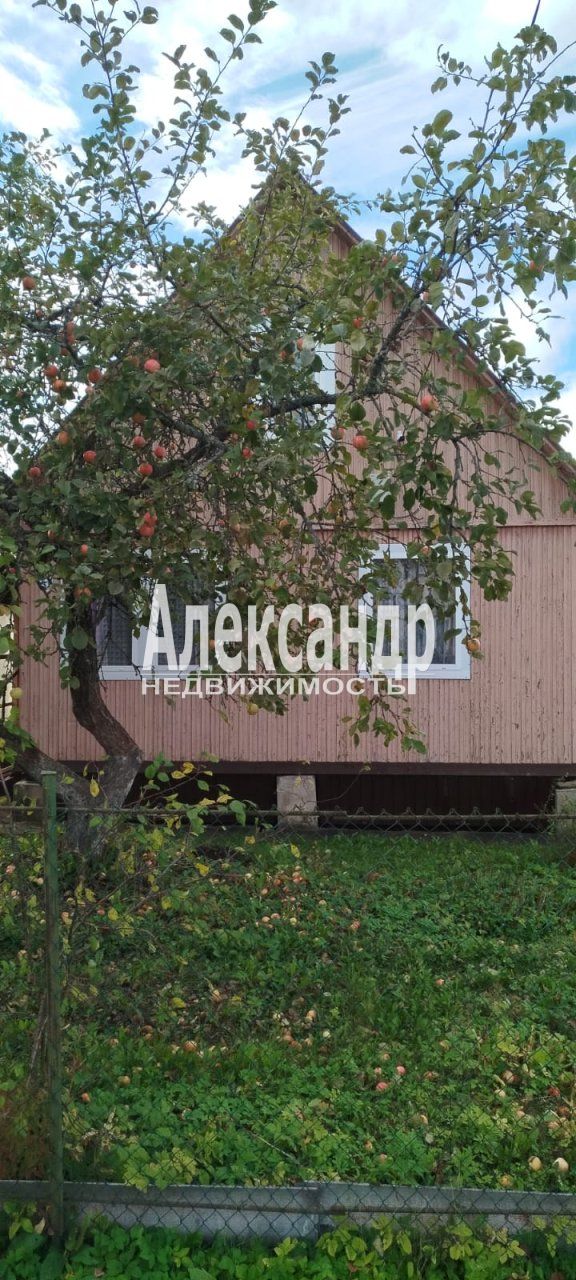 Жилой дом (51м2) на продажу — фото 54 из 63
