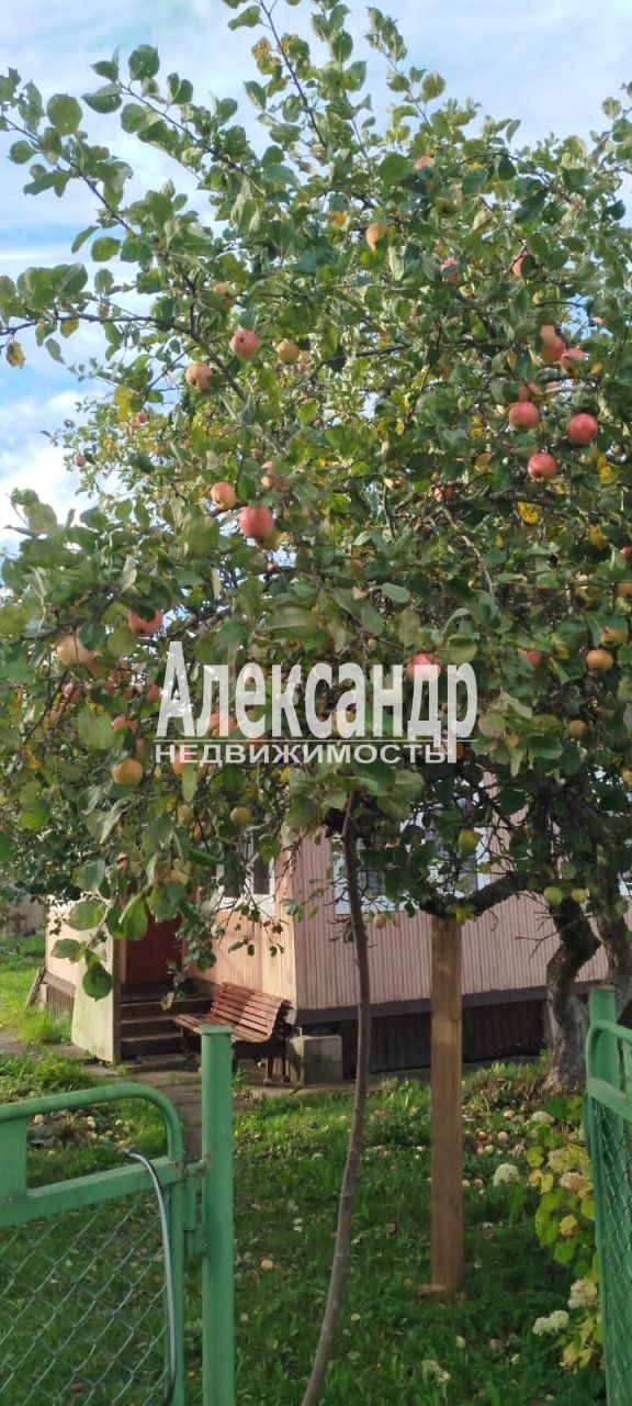 Жилой дом (51м2) на продажу — фото 62 из 63