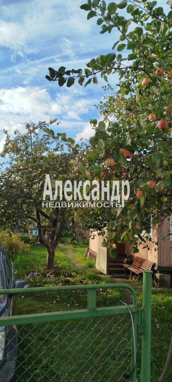 Жилой дом (51м2) на продажу — фото 59 из 63
