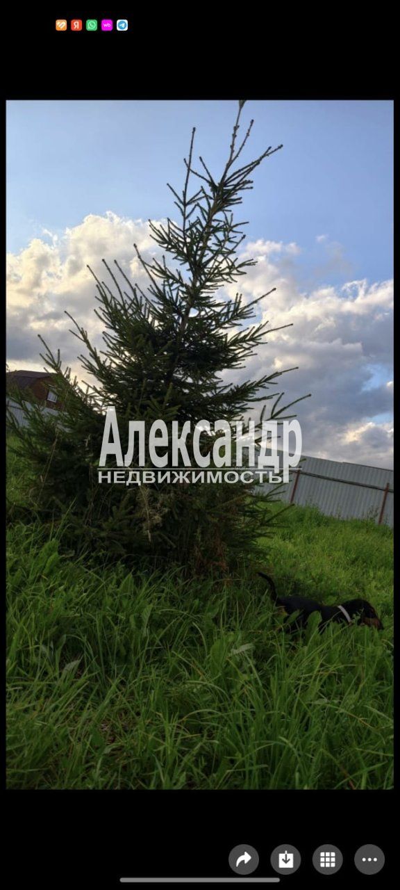 Жилой дом (119м2) на продажу — фото 2 из 17