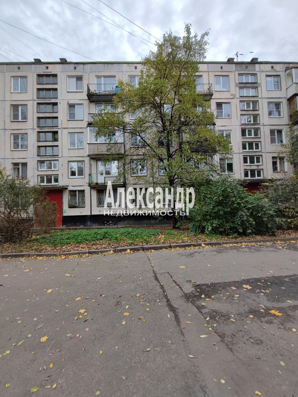 1-комнатная квартира (31м2) на продажу по адресу Санкт-Петербург, улица Козлова, 19к2— фото 21 из 25
