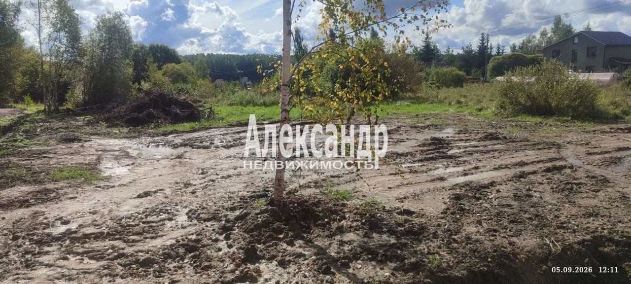 Участок (11м2) на продажу — фото 11 из 12