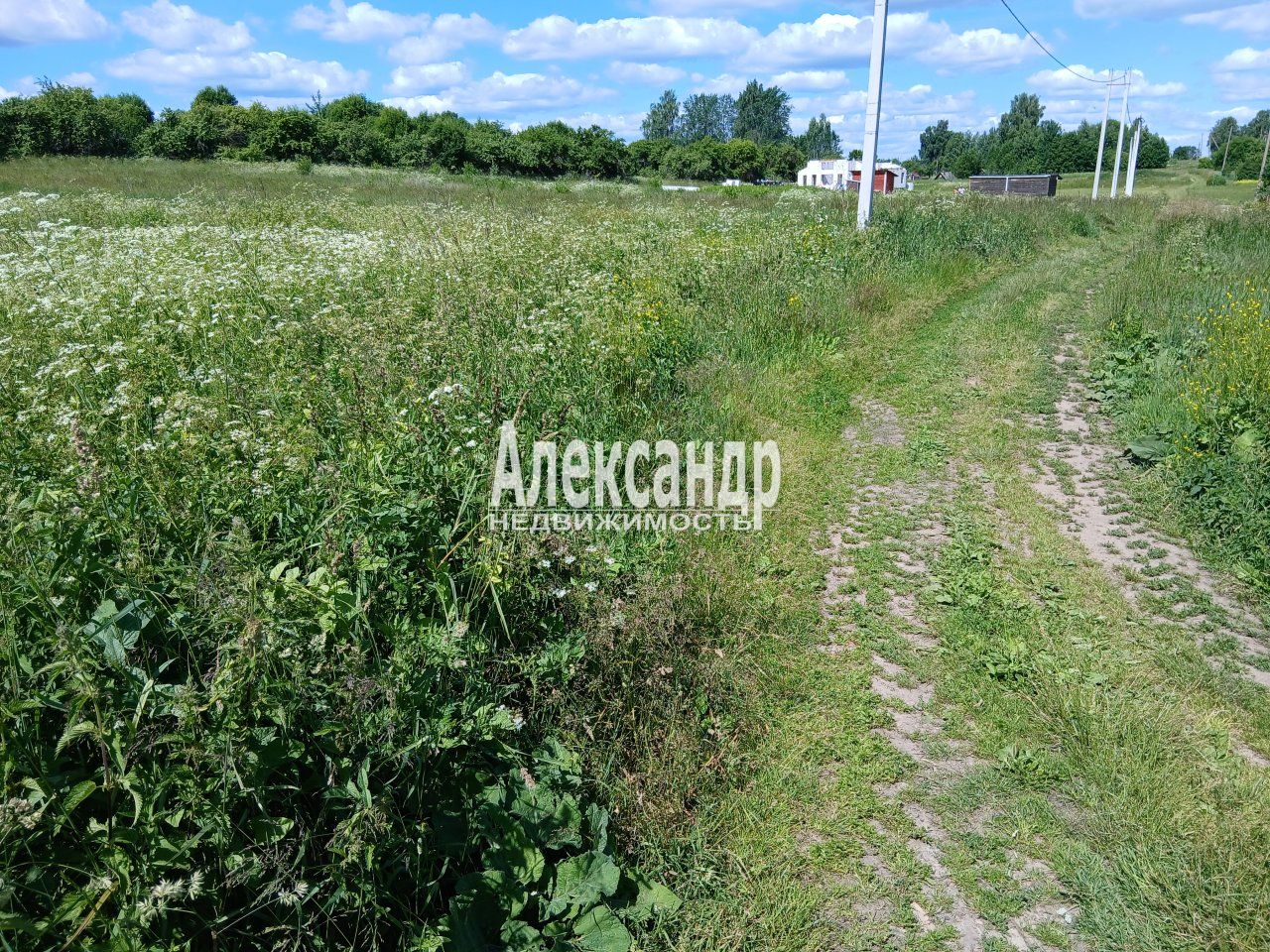 Участок (24м2) на продажу — фото 6 из 16