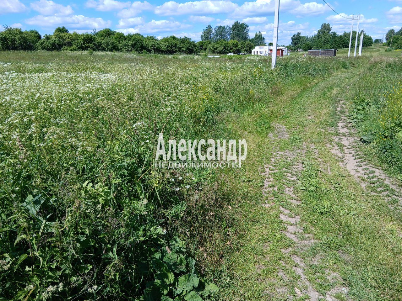 Участок (24м2) на продажу — фото 14 из 16