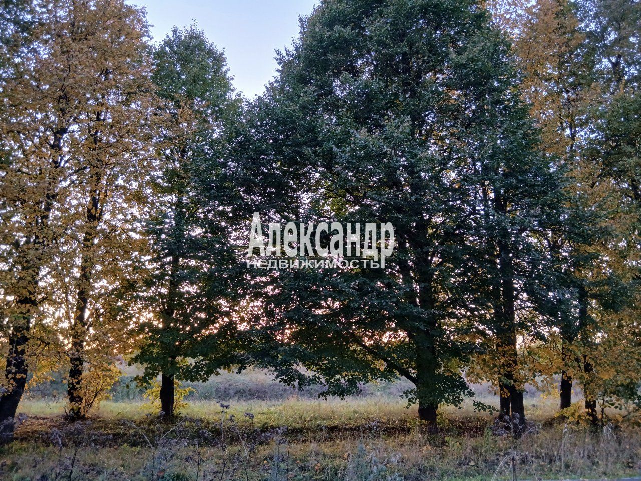 Участок