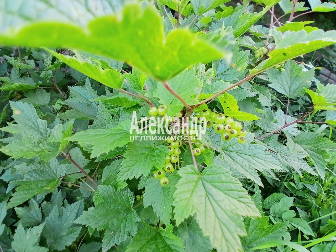 Жилой дом (36м2) на продажу — фото 22 из 27
