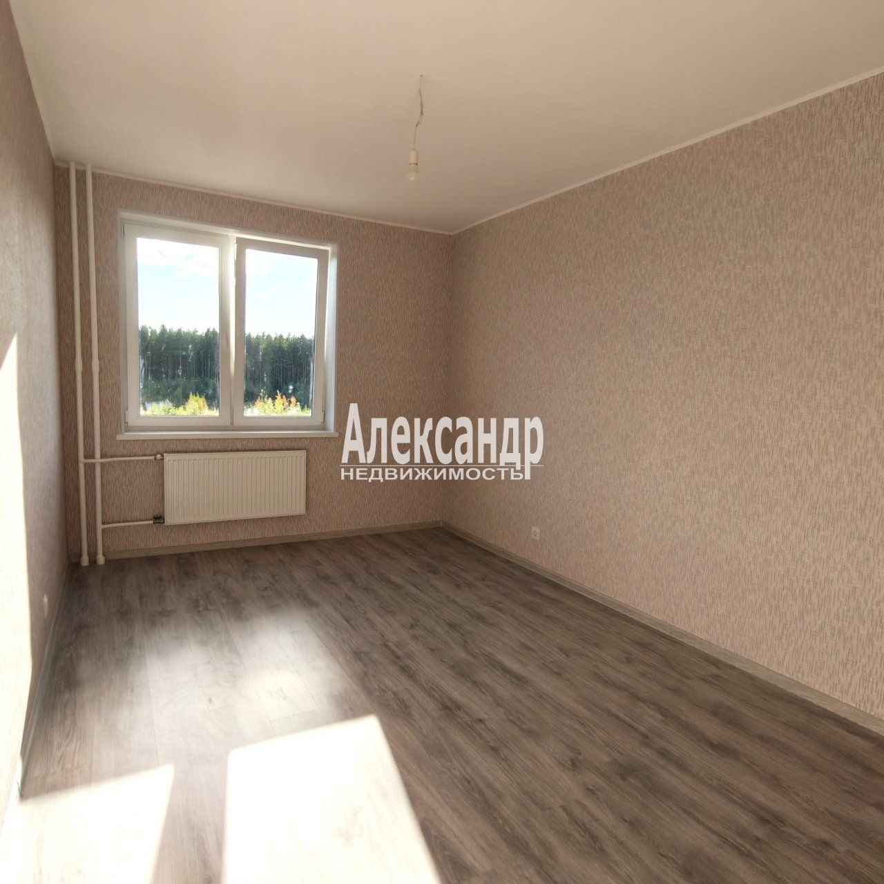 1-комнатная квартира (34м2) на продажу по адресу Ленинградская область, Всеволожск, шоссе Дорога Жизни, 7к1— фото 3 из 34