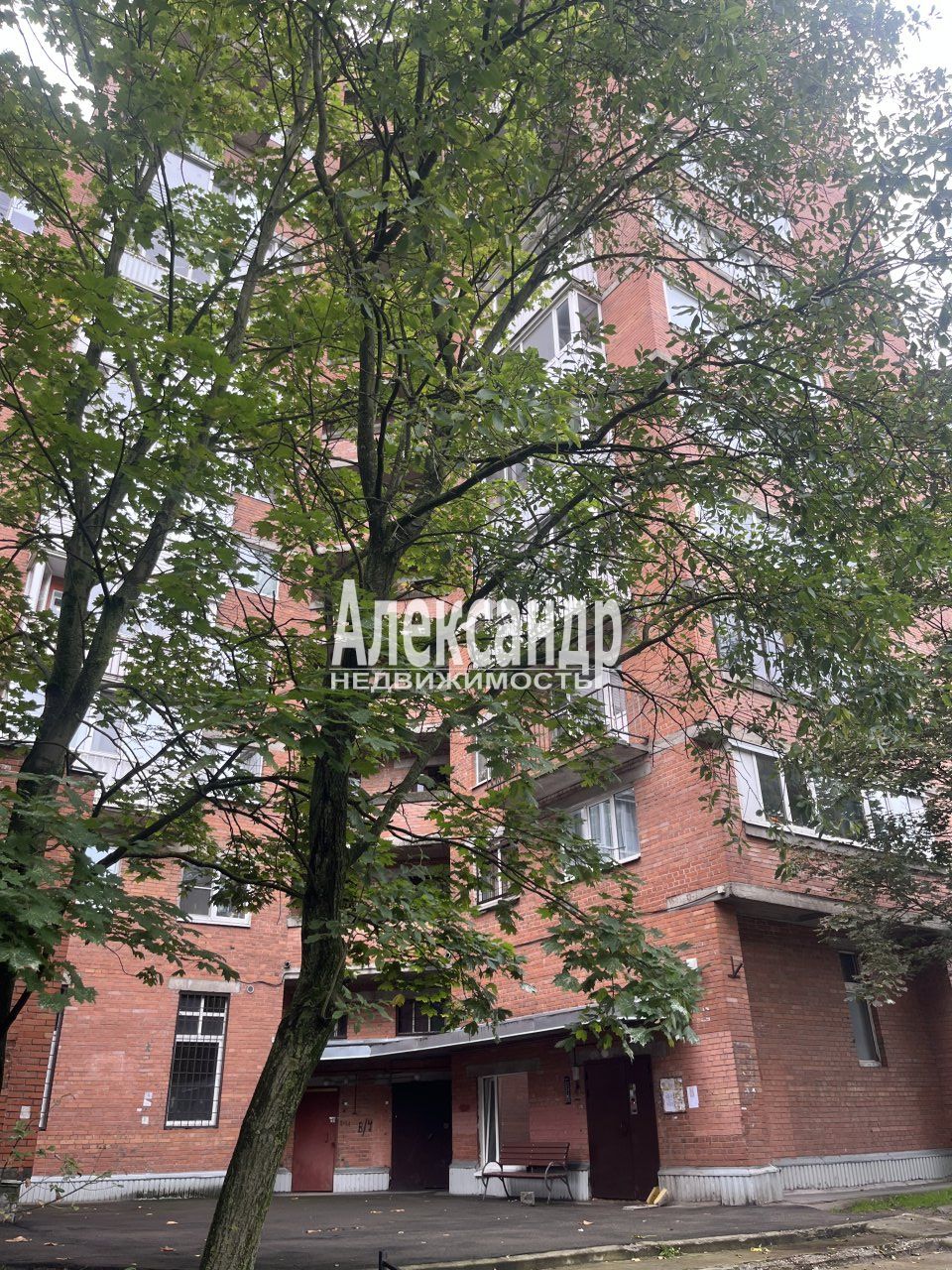 2-комнатная квартира (54м2) на продажу по адресу Санкт-Петербург, Дибуновская улица, 37— фото 1 из 10