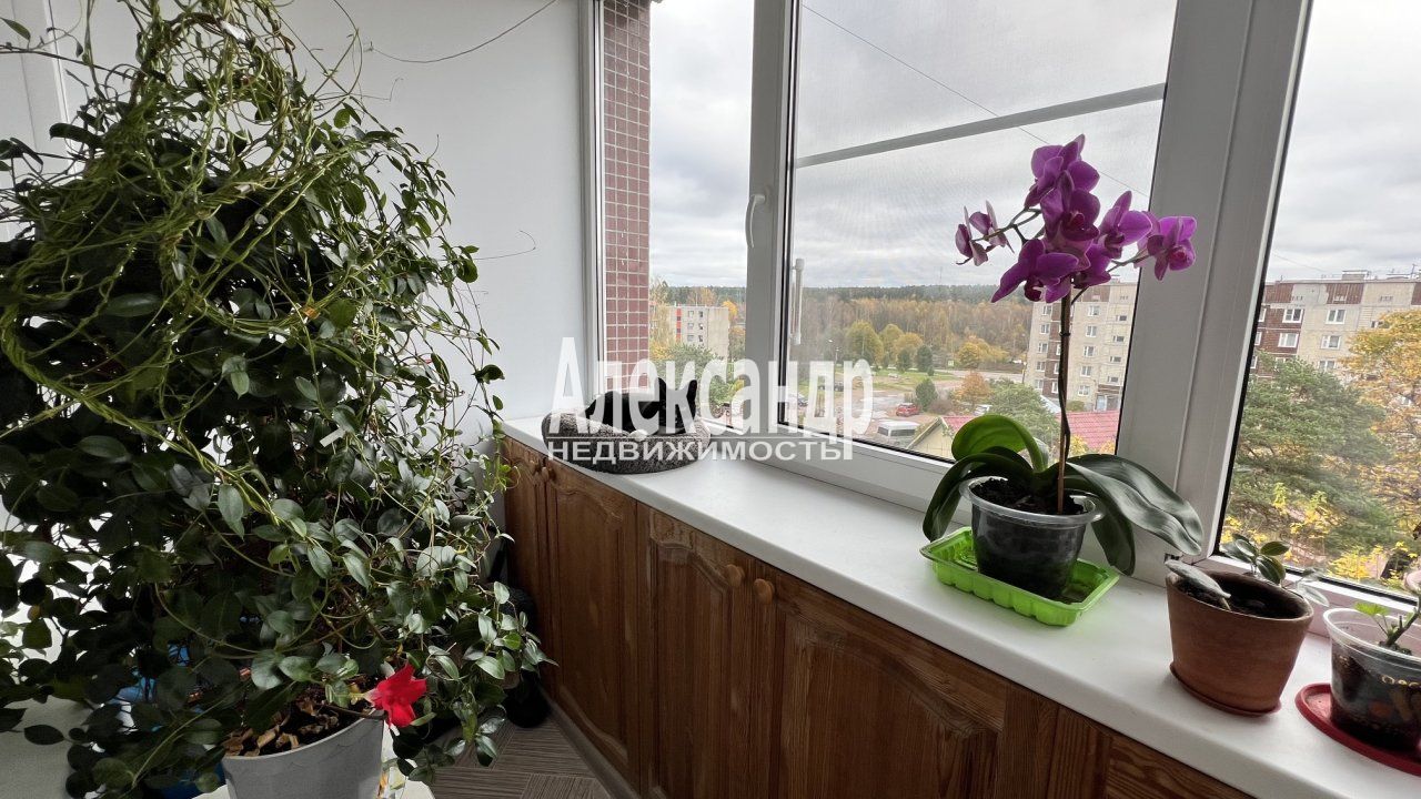 1-комнатная квартира (41м2) на продажу по адресу Ленинградская область, Выборгский район, городской посёлок Советский, Школьная улица, 42— фото 14 из 32