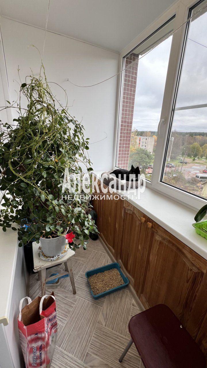 1-комнатная квартира (41м2) на продажу по адресу Ленинградская область, Выборгский район, городской посёлок Советский, Школьная улица, 42— фото 16 из 32