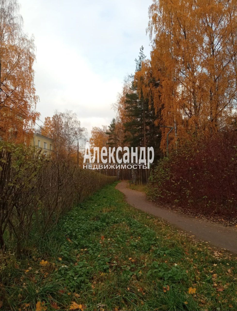 2-комнатная квартира (47м2) в аренду по адресу Санкт-Петербург, проспект Тореза, 77к3Б, подъезд 1— фото 20 из 21