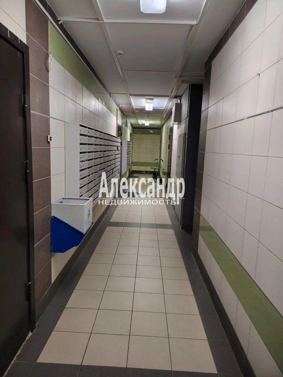2-комнатная квартира (52м2) на продажу по адресу Санкт-Петербург, посёлок Парголово, улица Фёдора Абрамова, 20к1— фото 5 из 22