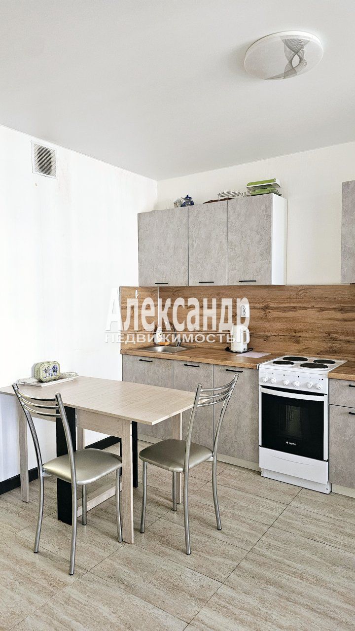 1-комнатная квартира (30м2) в аренду по адресу Ленинградская область, Всеволожский район, Мурино, Ручьёвский проспект, 2— фото 2 из 23