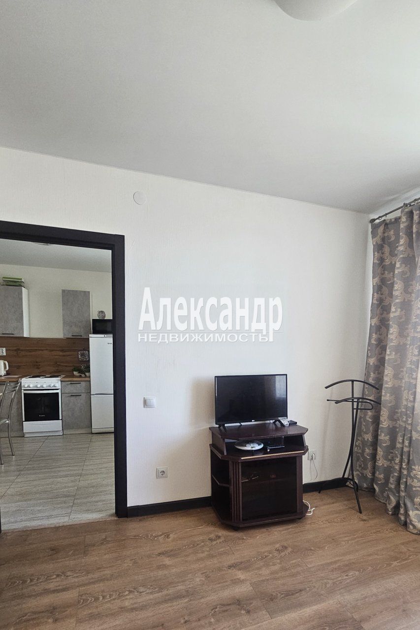 1-комнатная квартира (30м2) в аренду по адресу Ленинградская область, Всеволожский район, Мурино, Ручьёвский проспект, 2— фото 9 из 23