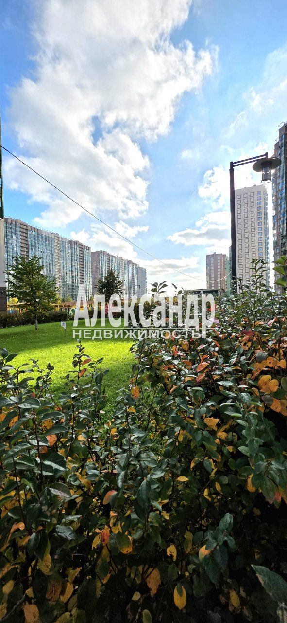 Студия (25м2) в аренду — фото 26 из 33