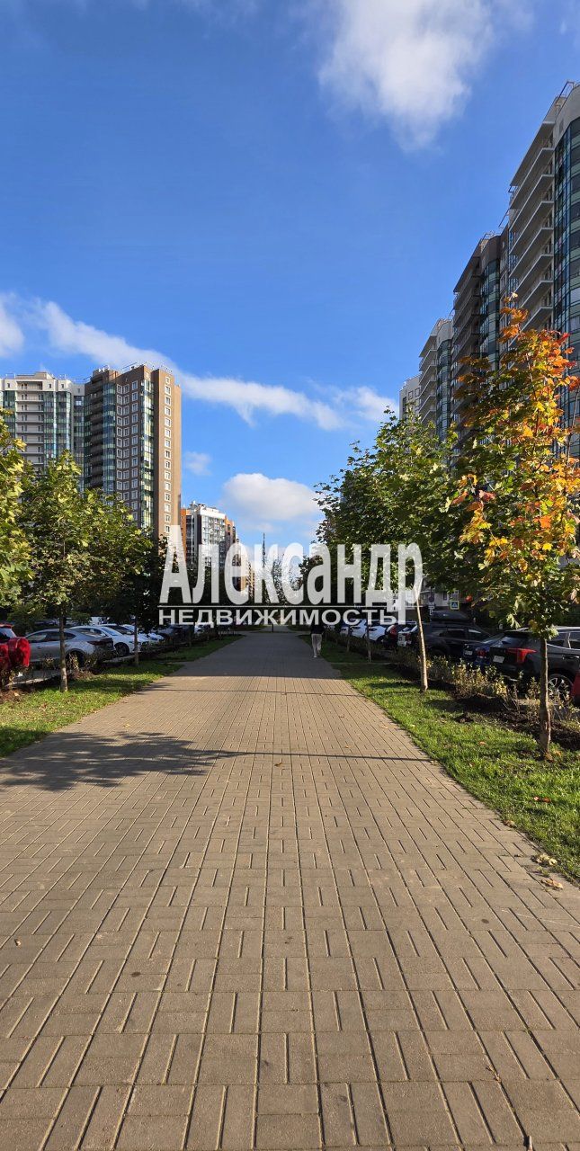 Студия (25м2) в аренду — фото 32 из 33