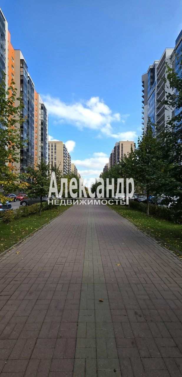 1-комнатная квартира (25м2) в аренду по адресу Ленинградская область, Всеволожский район, Мурино, улица Шувалова, 6— фото 24 из 25