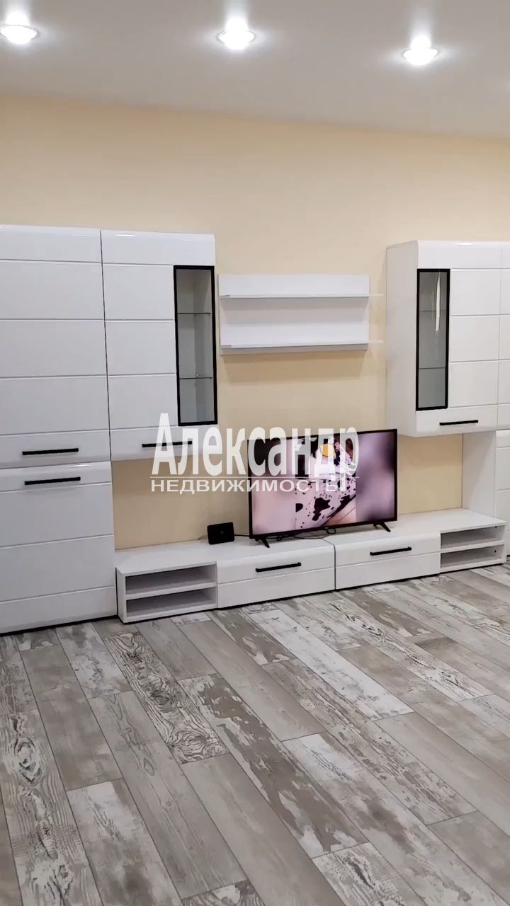 1-комнатная квартира (44м2) в аренду по адресу Санкт-Петербург, Измайловский бульвар, 4к1— фото 4 из 25
