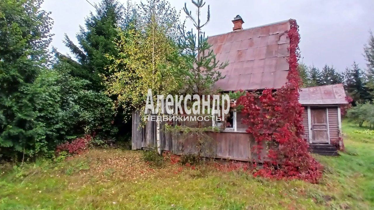 Дачный дом (63м2) на продажу — фото 1 из 18