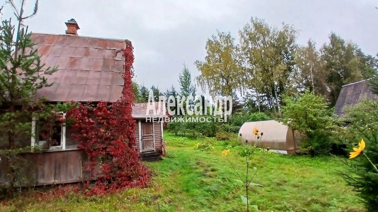 Дачный дом (63м2) на продажу — фото 2 из 18