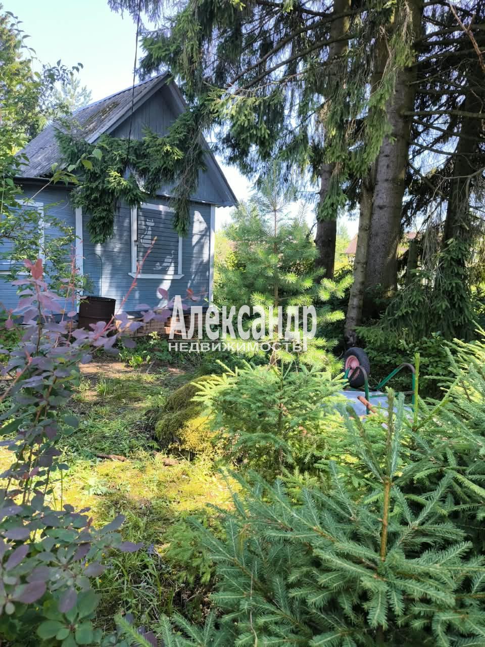 Жилой дом (36м2) на продажу — фото 2 из 17