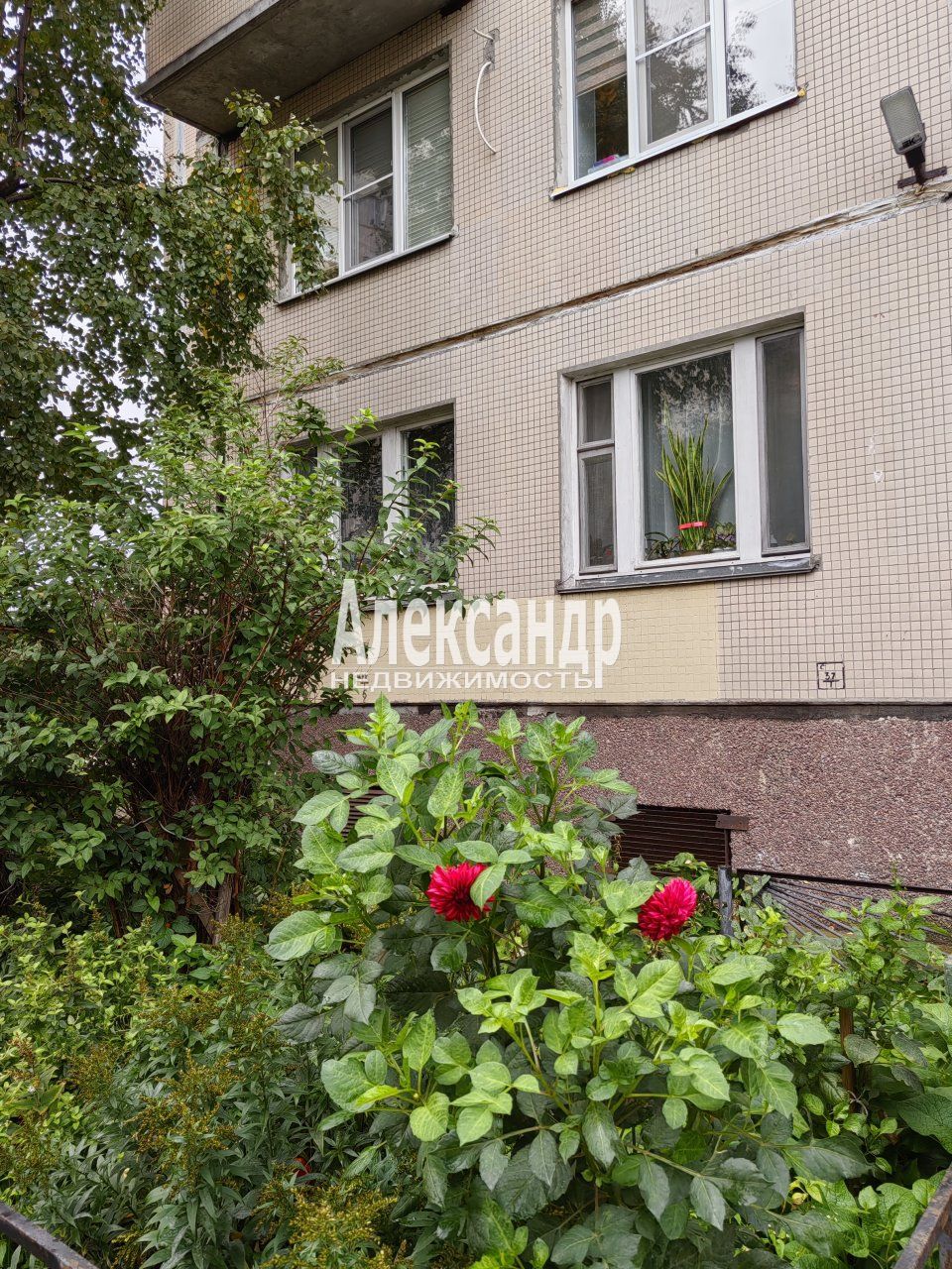 1-комнатная квартира (33м2) на продажу по адресу Санкт-Петербург, улица Десантников, 12к1— фото 16 из 17