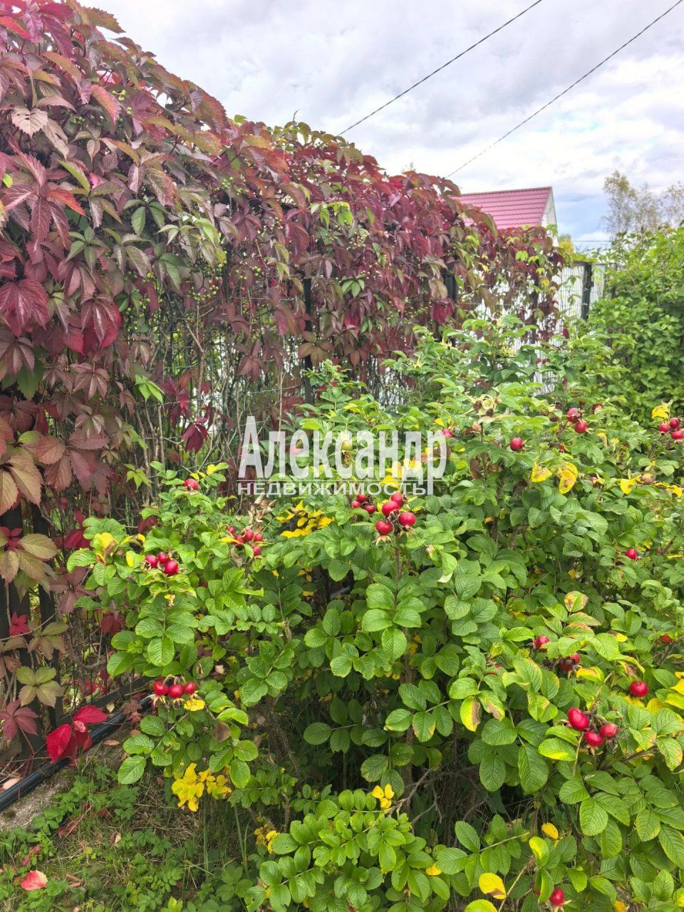 Участок (7м2) на продажу — фото 17 из 18