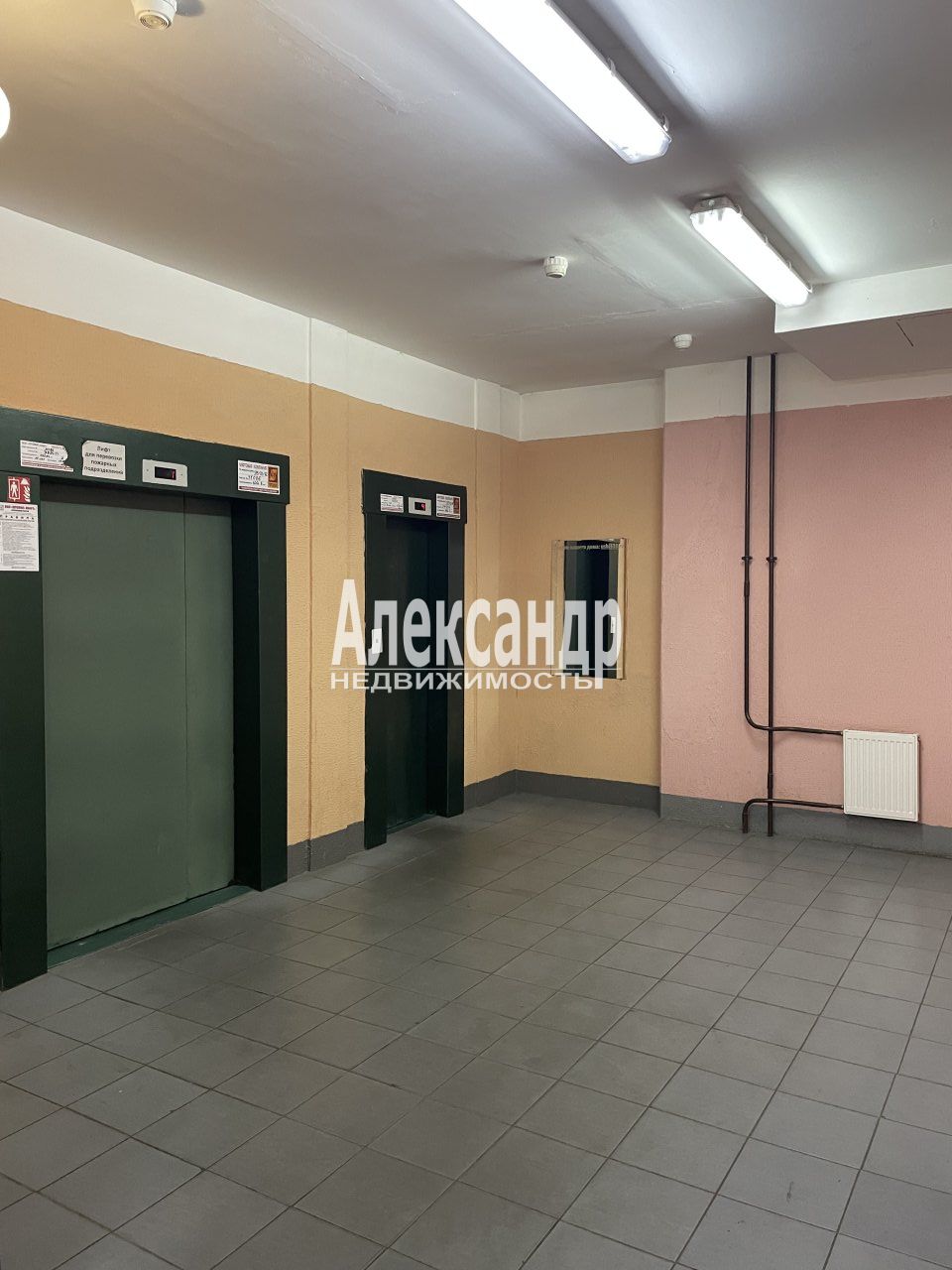 2-комнатная квартира (59м2) в аренду по адресу Санкт-Петербург, улица Ушинского, 33к3— фото 2 из 23