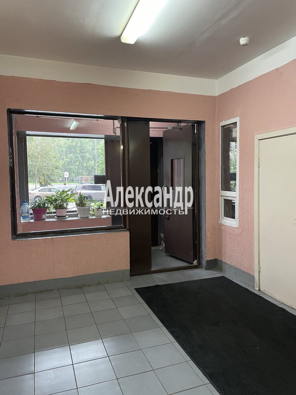 2-комнатная квартира (59м2) в аренду по адресу Санкт-Петербург, улица Ушинского, 33к3— фото 3 из 23