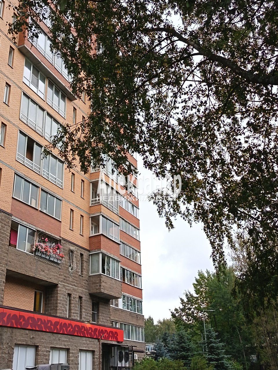 2-комнатная квартира (59м2) в аренду по адресу Санкт-Петербург, улица Ушинского, 33к3— фото 21 из 23