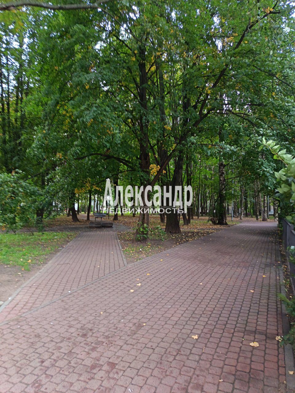 2-комнатная квартира (59м2) в аренду по адресу Санкт-Петербург, улица Ушинского, 33к3— фото 22 из 23
