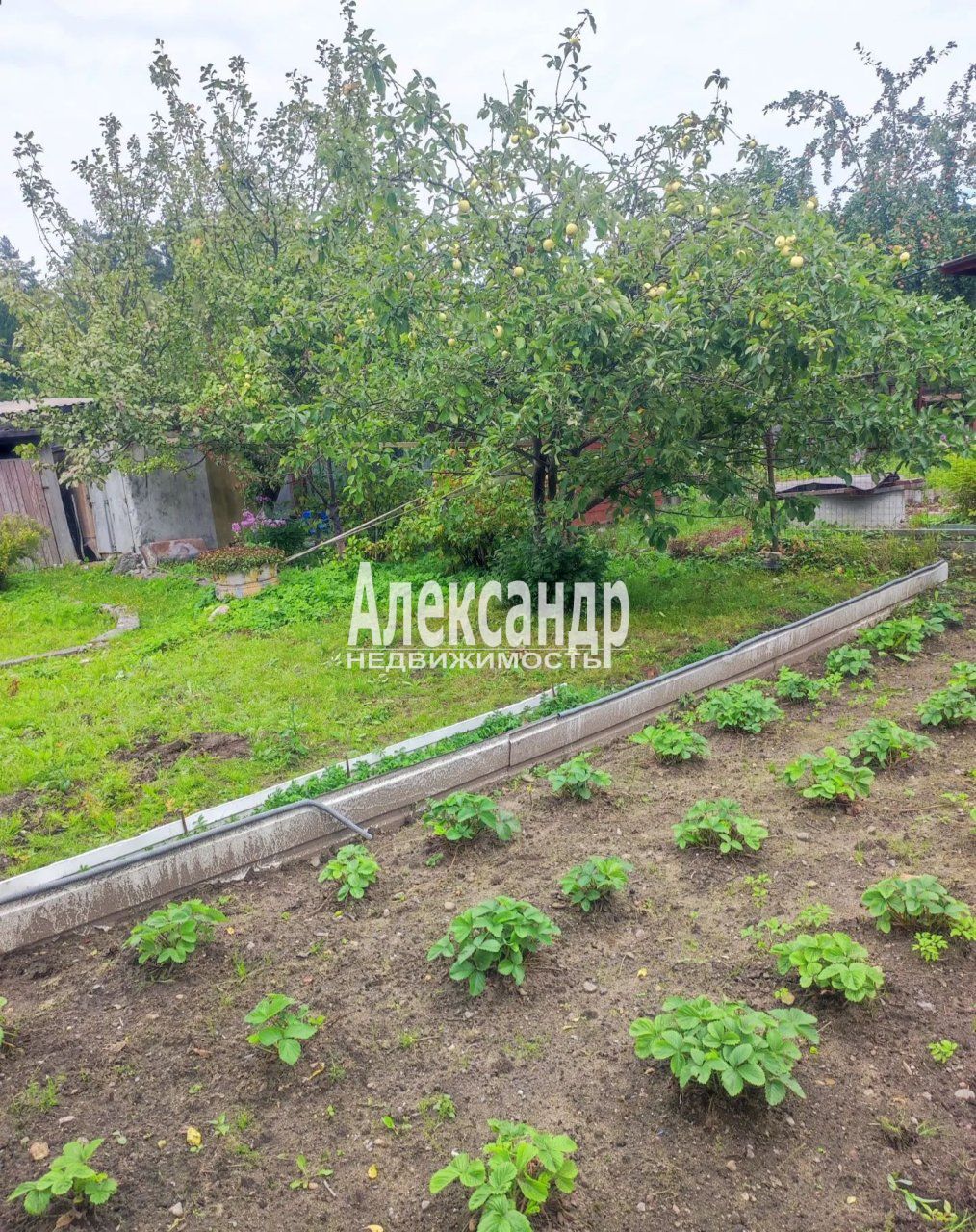 Дачный дом (31м2) на продажу — фото 21 из 36