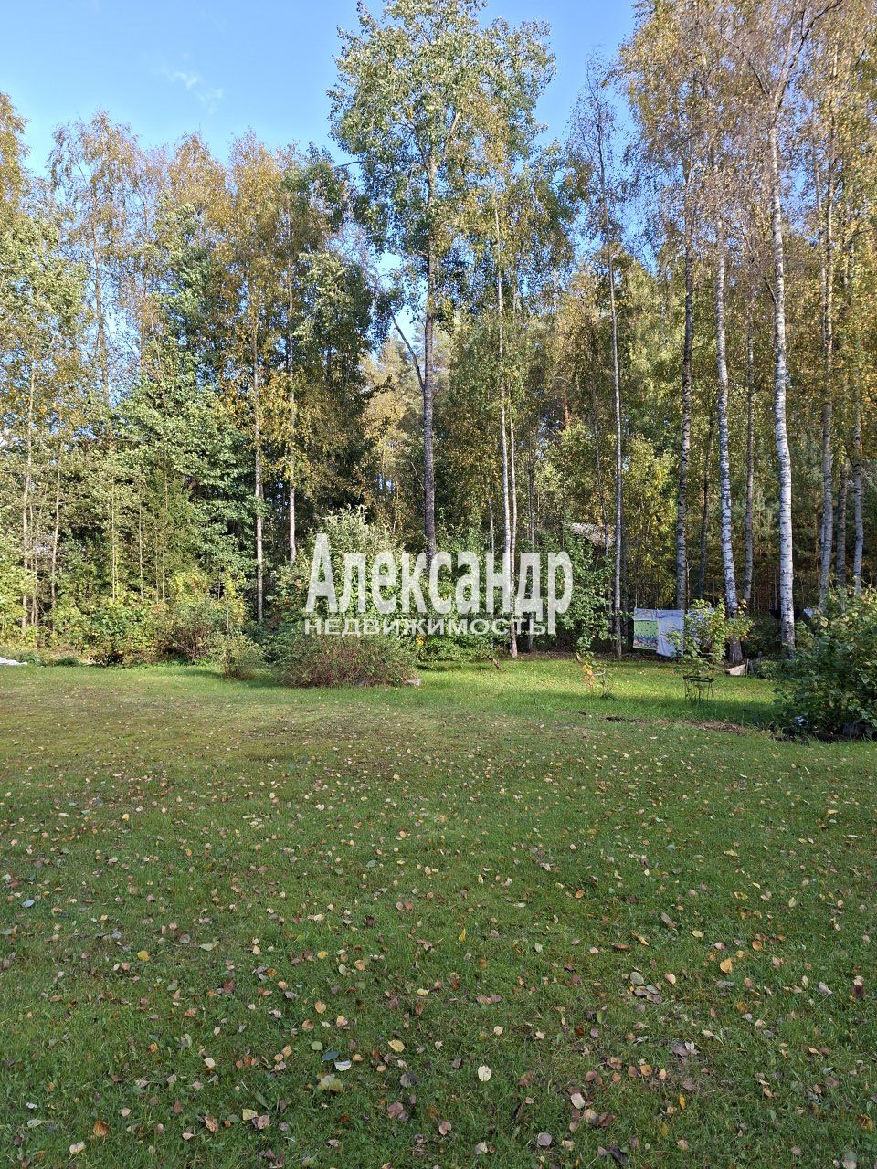 Жилой дом (34м2) на продажу — фото 12 из 31