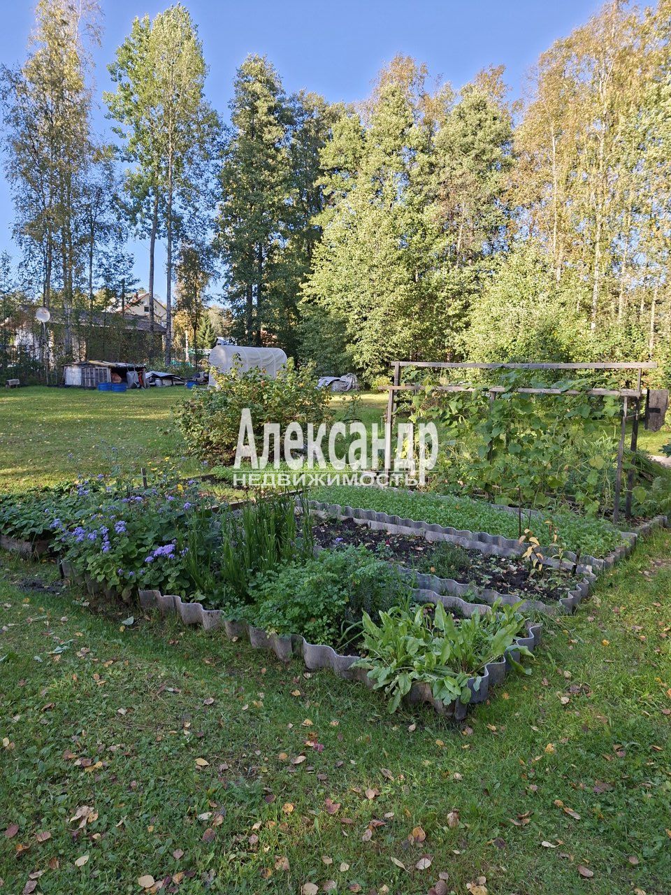 Жилой дом (34м2) на продажу — фото 17 из 31