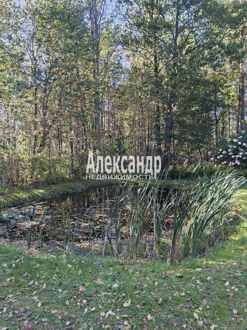 Жилой дом (34м2) на продажу — фото 19 из 31