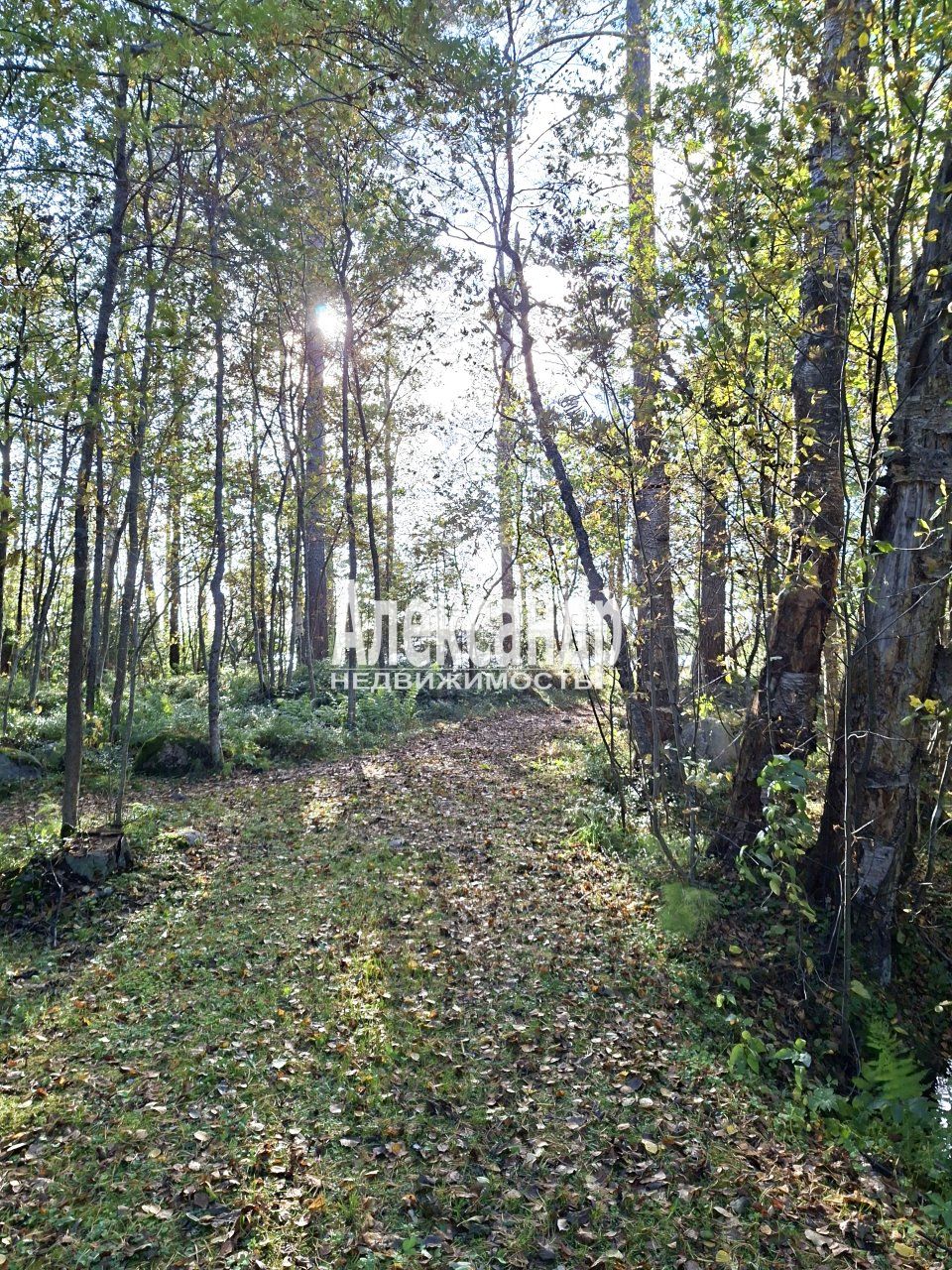 Жилой дом (34м2) на продажу — фото 29 из 31