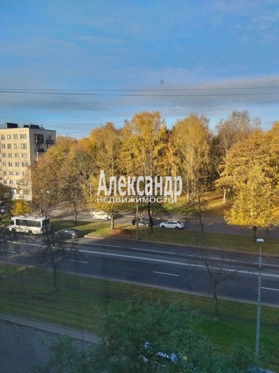3-комнатная квартира (56м2) на продажу по адресу Санкт-Петербург, улица Карпинского, 31к1, подъезд 2— фото 17 из 20