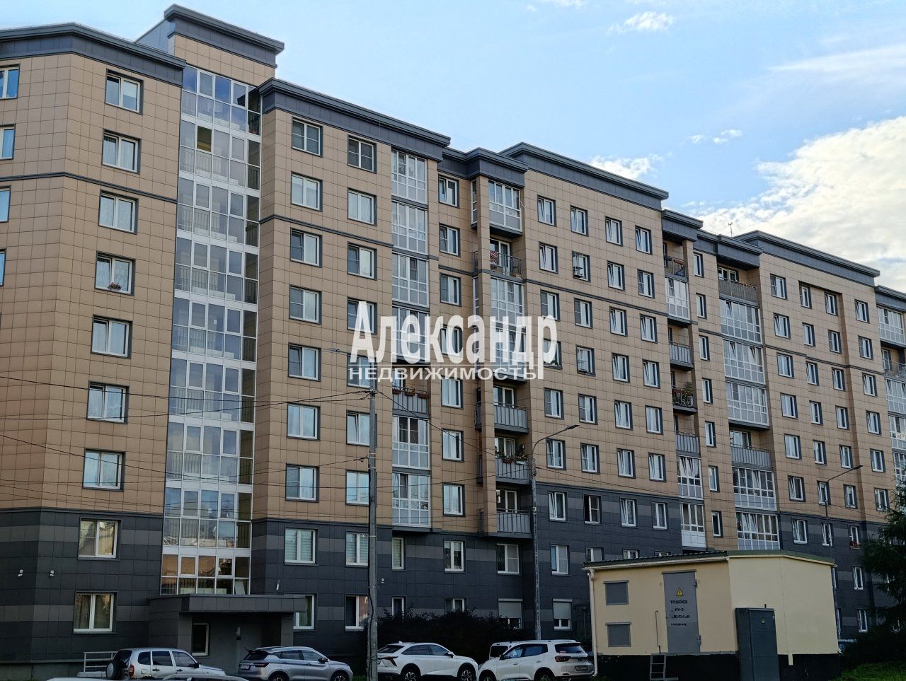 2-комнатная квартира (44м2) на продажу по адресу Санкт-Петербург, Пушкинский район, посёлок Шушары, территория Славянка, Изборская улица, 1к2, подъезд 2— фото 2 из 33