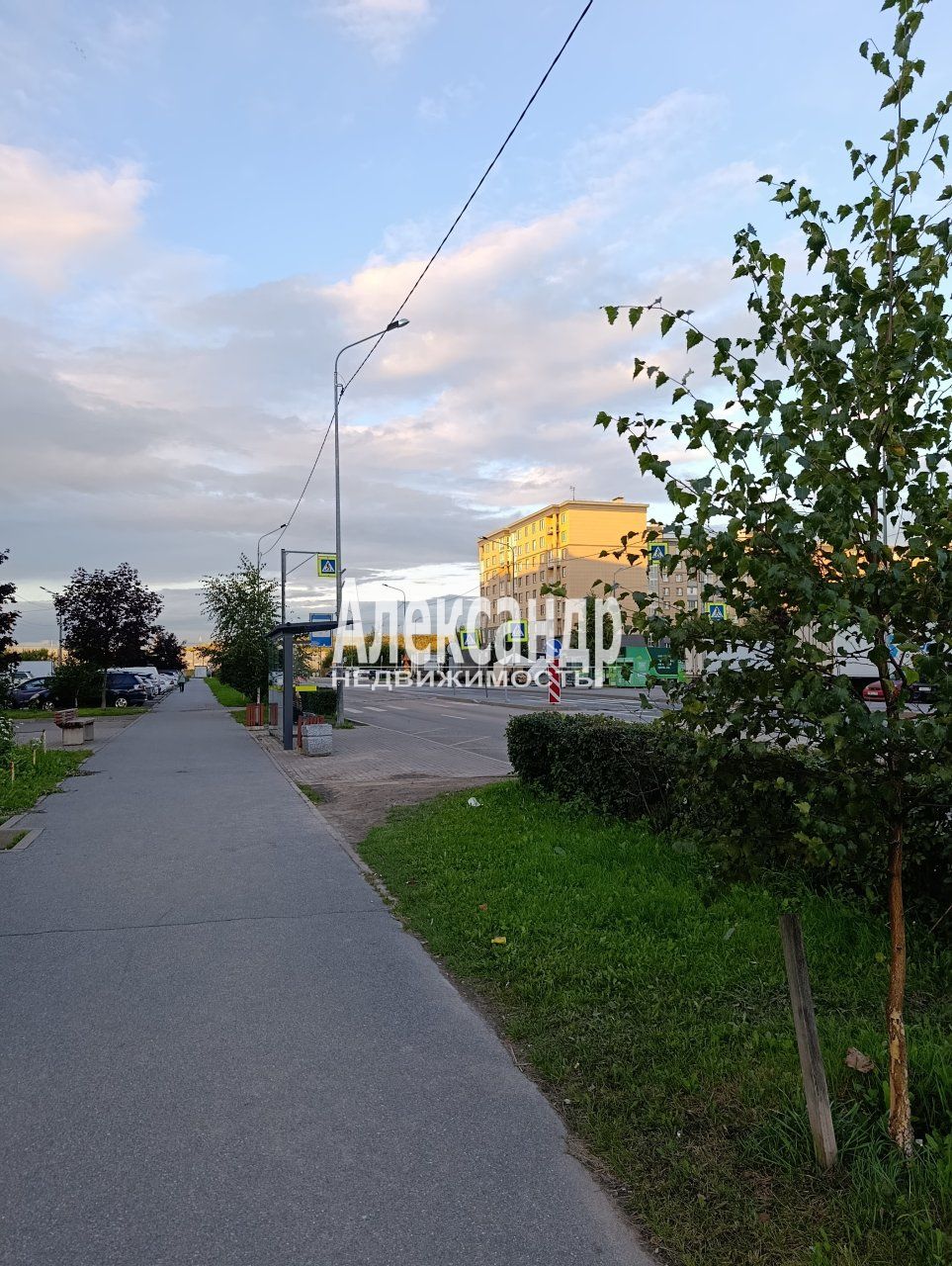2-комнатная квартира (44м2) на продажу по адресу Санкт-Петербург, Пушкинский район, посёлок Шушары, территория Славянка, Изборская улица, 1к2, подъезд 2— фото 26 из 33