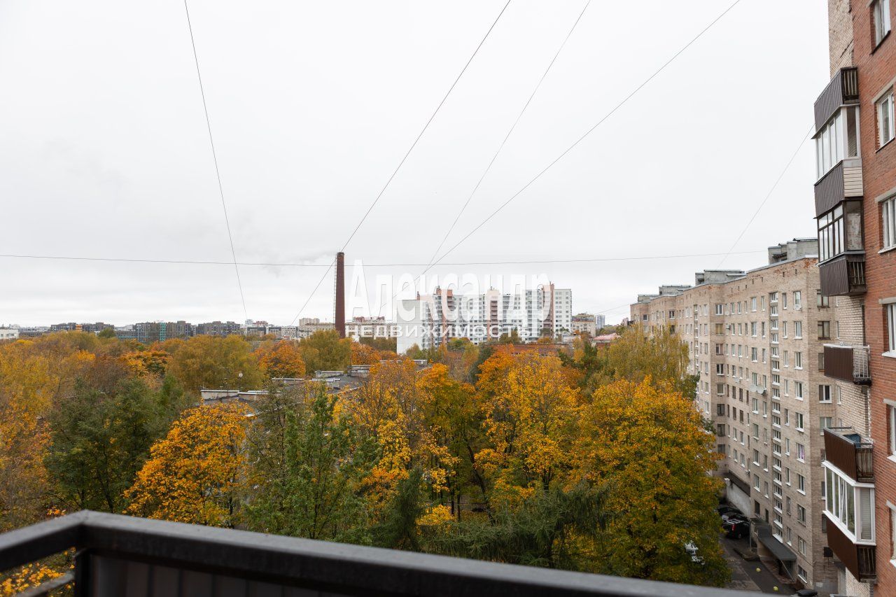 2-комнатная квартира (48м2) на продажу по адресу Санкт-Петербург, проспект Тореза, 38— фото 19 из 30
