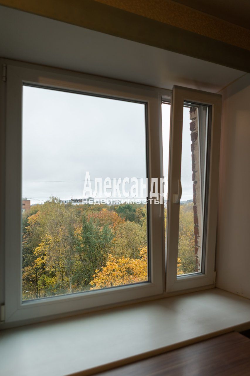2-комнатная квартира (48м2) на продажу по адресу Санкт-Петербург, проспект Тореза, 38— фото 9 из 30