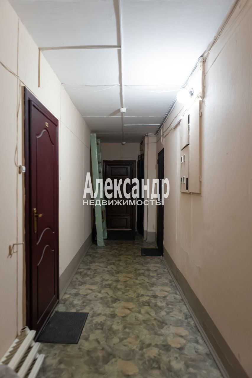 2-комнатная квартира (48м2) на продажу по адресу Санкт-Петербург, проспект Тореза, 38— фото 24 из 30