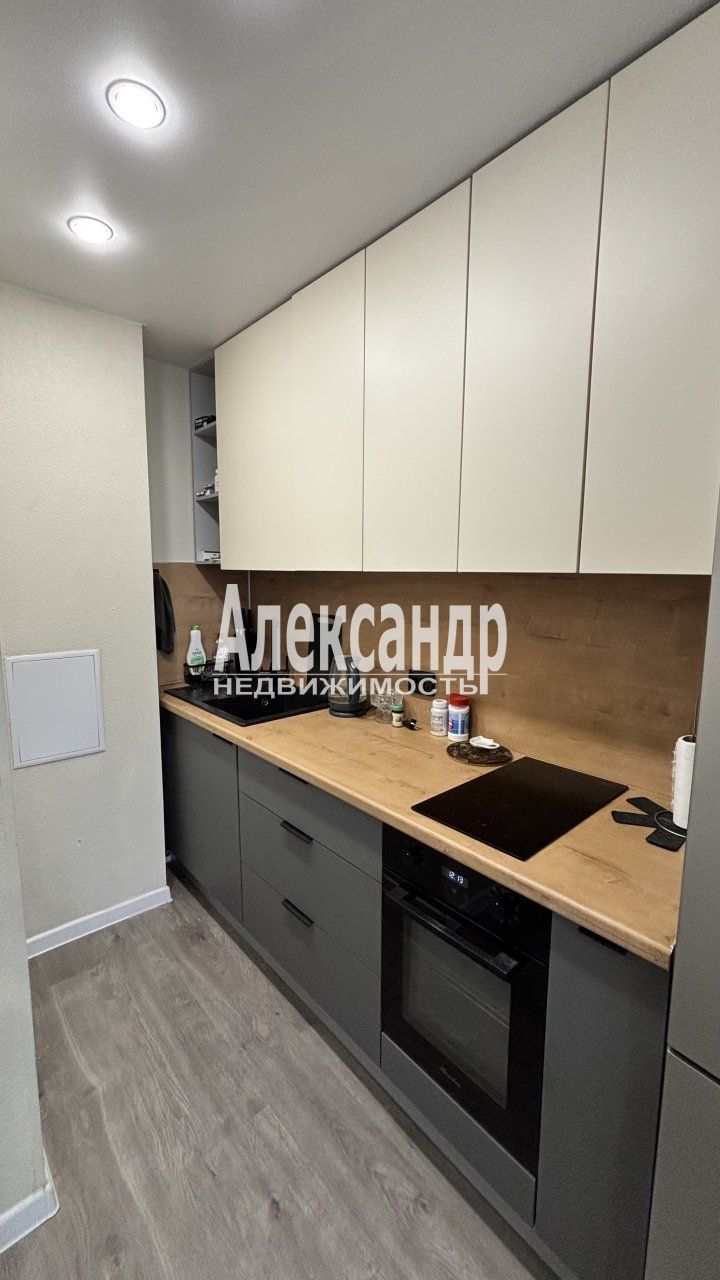 1-комнатная квартира (32м2) на продажу по адресу Санкт-Петербург, Русановская улица, 18к8— фото 4 из 10