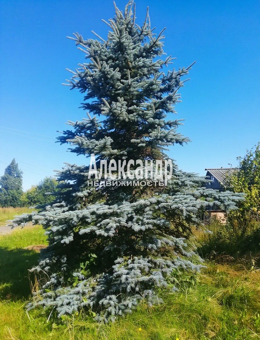 Жилой дом
